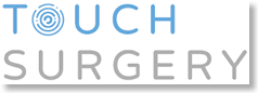 touch-logo-2
