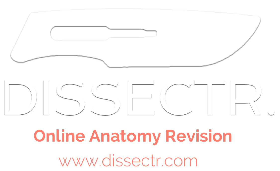 Online Anatomy Revision